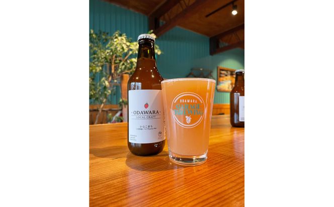 【ふるさと納税限定】TAPROOMでクラフトビール飲み放題！チケット 142069_HP005