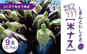 39210-002-0013．【期間限定】デカ！ピカ！ツル！しまんとにしとさ米ナス9玉（約2.7kg）【2026年5月下旬～10月下旬まで発送】