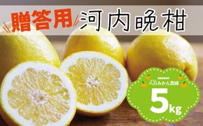 【 贈答用 】 河内晩柑 5kg 先行予約 <発送期間：4月上旬～無くなり次第終了> 八百みかん農園 の かわちばんかん 9000円 家庭用 5kg 先行 事前 予約 受付 ギフト みかん 愛南ゴールド 美生柑 文旦 グレープフルーツ 和製 防腐剤不使用 愛媛 産地直送 国産 農家直送 糖度 果樹園 期間限定 数量限定 特産品 ジュース 人気 限定 愛南 さわやか 甘い フルーツ 果物 柑橘 蜜柑