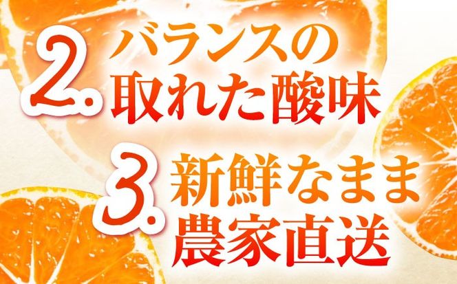 【2026年10月下旬～発送】【2回定期便】温州みかん 食べ比べ 10kg×2回 / みかん 青島みかん ミカン 蜜柑 甘い フルーツ 果物 / 南島原市 / 蜜柑屋まつお[SCQ004]