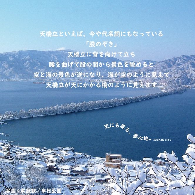 【日本三景・天橋立】旅館組合20施設から選べる旅行クーポン（宿泊・食事補助券）60,000円分 ～海の京都 宮津で過ごす絶景旅に～