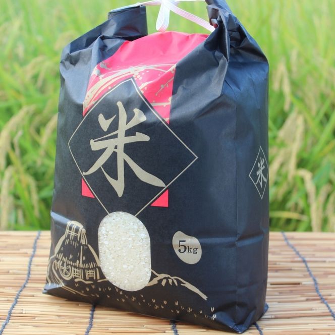 令和6年産 キヌヒカリ 5kg 米 白米 精米 お米 こめ コメ きぬひかり 令和6年 ご飯 ごはん 京都 京都府 南丹市