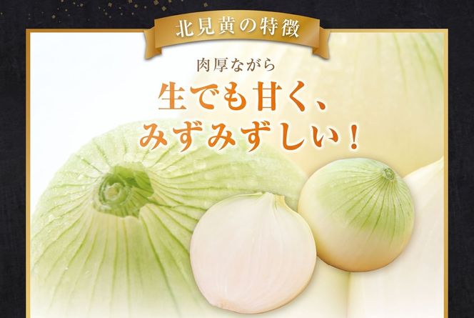  【予約：2026年9月下旬から順次発送】幻の北見黄 北海道北見産 10kg ( 野菜 たまねぎ 玉ねぎ タマネギ Lサイズ 10キロ 詰合せ )【002-0004-2026】