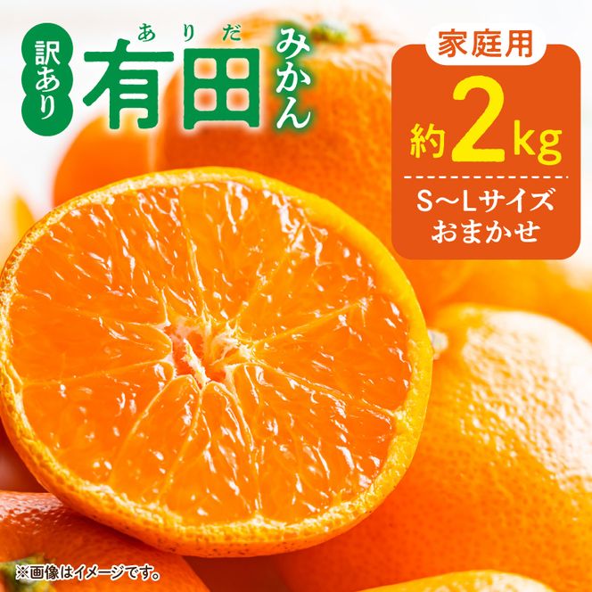 DZ6100_11_【2026年11月発送】ご家庭用 有田みかん 和歌山 S～Lサイズ 大きさお任せ 約2kg