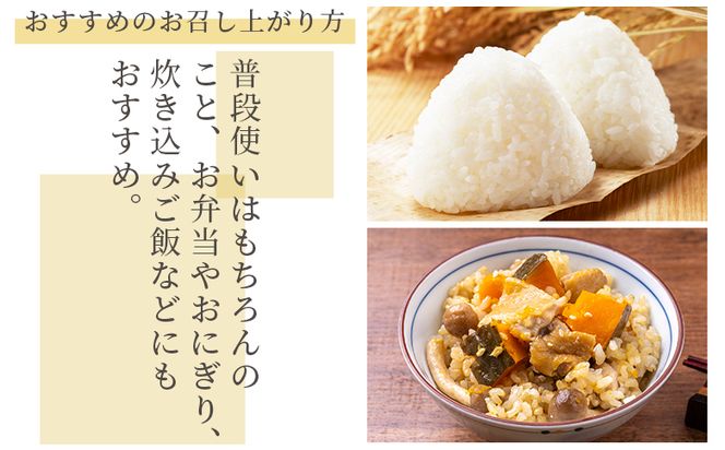 ミルキークイーン 玄米 白米 セット 計10ｋｇ 特別栽培米  令和８年産 - 国産 玄米 白米 ご飯 ごはん お米 こめ おにぎり おむすび 炊き込みご飯 食べ比べ 備蓄 防災 非常食 おいしい 美味しい 高知県 香南市 常温 sr-0017
