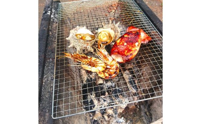 ちがさき柳島キャンプ場でBBQ！WAKUWAKU海鮮セット（引換券） 引き換えチケット バーベキュー 食事 食材 料理 海鮮BBQ 海の幸 魚介類 休日 昼食 アウトドア 
