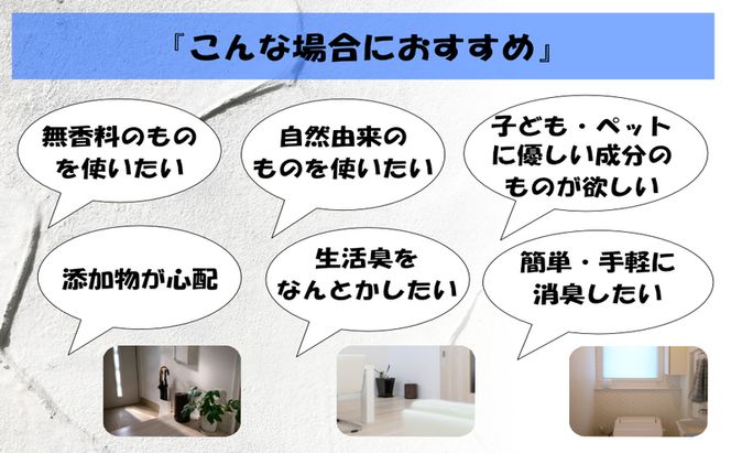 消臭スプレー エコアースボトルタイプ 1000ml 1L 消臭剤