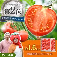 【先行予約】 全国第2位受賞 / 糖度8度以上 高知県土佐市の濃厚フルーツトマト約1.6kg(800g×2箱） /家族みんなで楽しむ高知県土佐市の味〈2027年1月下旬から順次発送〉フルーツトマト ふるーつとまと とまと トマト 甘い 濃厚 美味しい 箱入り 野菜 料理 高知県 土佐市【ファーム輝】 [BQBM004]