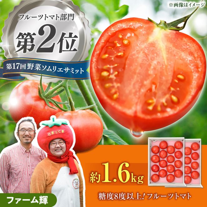 【先行予約】 全国第2位受賞 / 糖度8度以上 高知県土佐市の濃厚フルーツトマト約1.6kg(800g×2箱） /家族みんなで楽しむ高知県土佐市の味〈2027年1月下旬から順次発送〉フルーツトマト ふるーつとまと とまと トマト 甘い 濃厚 美味しい 箱入り 野菜 料理 高知県 土佐市【ファーム輝】 [BQBM004]