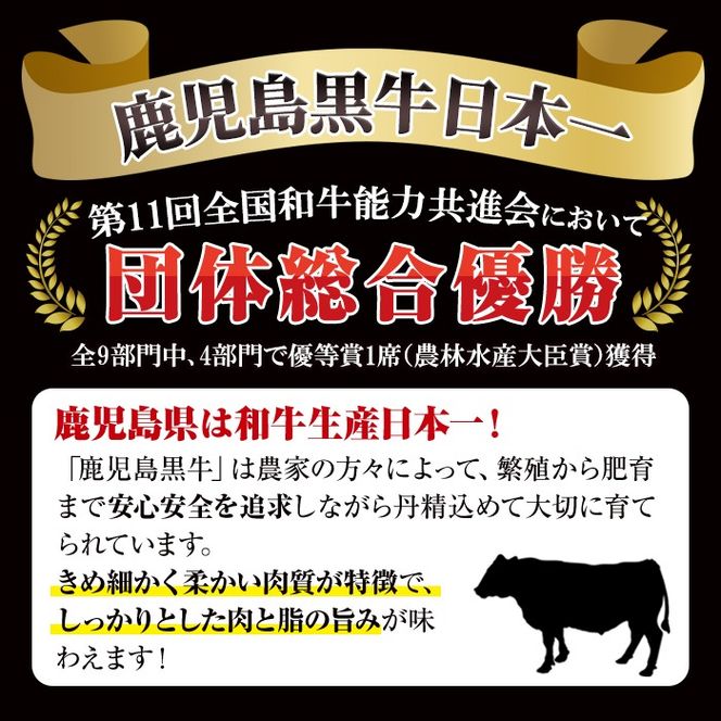 H-101 肉質最高ランク5等級 鹿児島黒牛すき焼きセット(計約600g)国産 九州産 鹿児島産 国産牛 牛肉 5等級 霜降り すきやき しゃぶしゃぶ セット【鹿児島いずみ農業協同組合】a-36-10-z