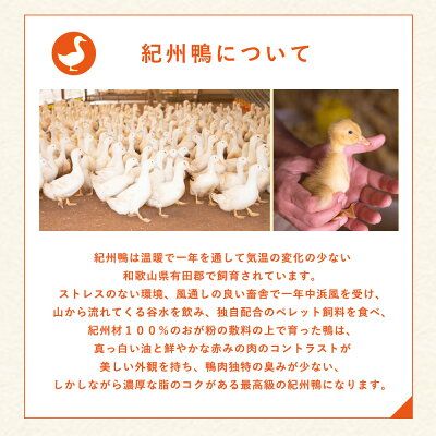 紀州鴨 セット ( ロースブロック1kg  モモブロック600g )※到着希望日（時期）指定不可_AK6008