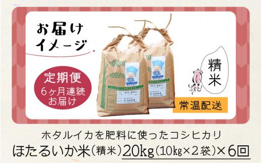 ほたるいか米（精米20kg）×6回 計120kg【6ヶ月定期便】