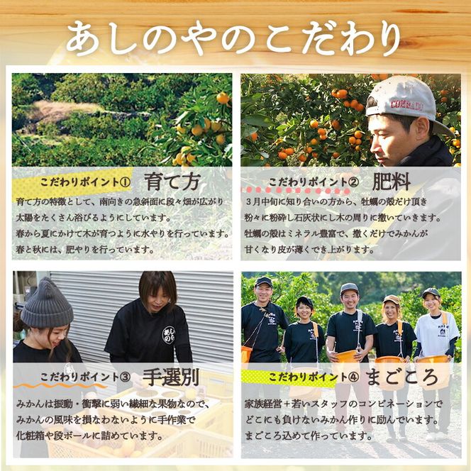 【2027年先行予約】和歌山県産 ネーブルオレンジ 【訳あり 家庭用】10kg サイズ混合 【まごころ手選別】_ZE6445