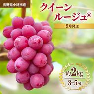 先行予約 2026年9月発送 クイーンルージュ(R)約2kg 3～5房 重量保証 信州 小諸 果物 フルーツ ぶどう ブドウ 種無し 甘い 完熟 季節限定 贈答用 大粒 産地直送 新鮮 お取り寄せ こだわり ギフト