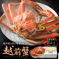 訳あり茹で越前ガニ 500g以上×2杯(脚折れ) カニ ズワイガニ ボイル 福井県
