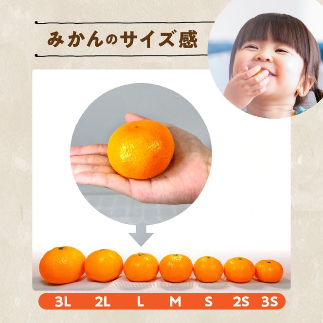 MK1035_訳あり それでも みかん 箱込 5kg ( 内容量 4.4kg ) サイズミックス Ｂ品 有田みかん 和歌山県産 産地直送 家庭用【みかんの会】