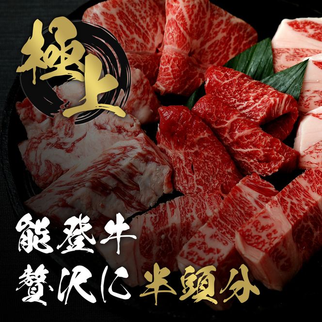 肉【和牛セレブ】能登牛 半頭買い（12分割配送）黒毛和牛 霜降り ギフト 石川県 能美市 172111_DB051