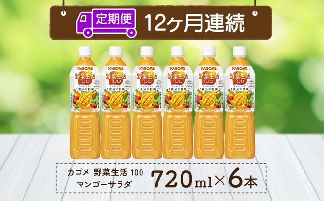 ns038-069　【定期便】12ヵ月連続野菜生活100 マンゴーサラダ 720mlPET