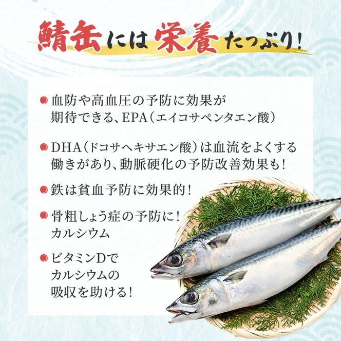 サバ缶 水煮 24缶 セット 缶詰 サバ水煮 サバ水煮缶 さば おかず 惣菜 常温保存 備蓄