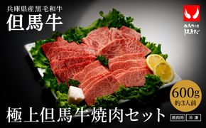 希少部位入り！極上但馬牛 焼肉セット 3種盛り【ロース モモ 希少部位1種 合計600g】牛肉 焼肉 セット 焼き肉 お肉 牛 肉 但馬牛 黒毛和牛 霜降り【但馬ビーフはまだ】【ご好評につき1月以降順次発送】