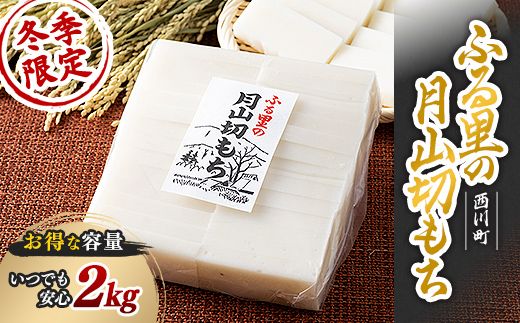 FYN6-005 ≪先行予約≫冬季限定 角餅 ふる里の月山切り餅 1kg 2個セット 山形県産水稲もち米使用 2026年12月中旬から順次発送 柔らかい やわらかい 滑らか なめらか 白餅 お餅 餅 もち モチ 米 国産 山形県産 冬季 冬 年末 年始 正月 期間限定 山形県 西川町 月山