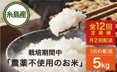【全12回（月2回）定期便】栽培期間中 農薬不使用のお米 ヒノヒカリ 5kg 糸島市 / シーブ [AHC058] お米 5kg 送料無料 ギフト おこめ 5キロ 特別栽培米