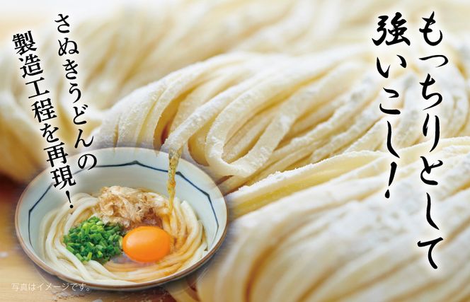 005A577 麺名人 さぬきうどん 12食【個包装 冷凍 惣菜 麺 簡単調理 一人暮らし】