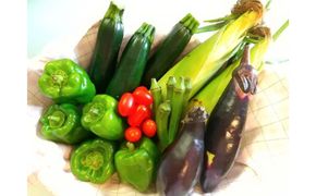 瀬戸ガーネット　500gと夏野菜詰め合わせセット1～2人分【6月下旬以降発送】 372013_MK003