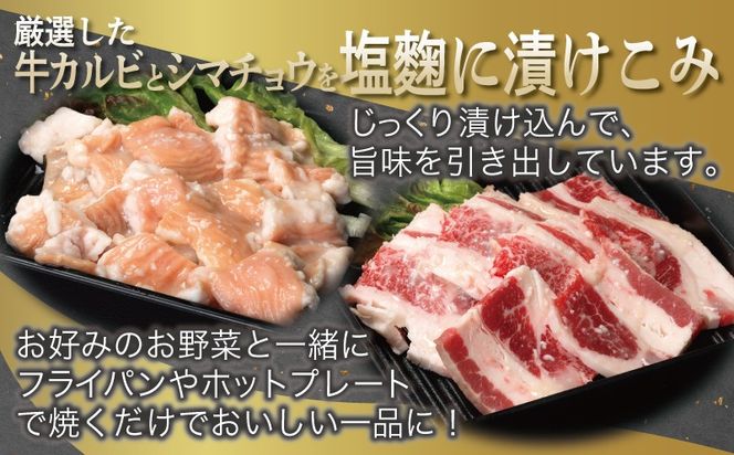 G3400 牛カルビ＆シマチョウ 塩麹漬け 焼肉セット 合計3kg【味付け 小分け 焼くだけ 簡単調理 BBQ 250g×12袋 牛肉 ホルモン】