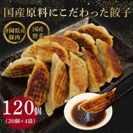 餃子 120個 野菜 豚肉 冷凍 餃子 大きめ ぎょうざ ギョウザ おつまみ 惣菜 中華 惣菜 業務用 おかず ビール ランキング 弁当 簡単調理