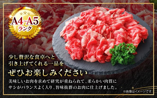 【A4～A5ランク】 くまもと黒毛和牛 切り落とし 1.2kg （600g×2パック） 和牛 牛肉 お肉 黒毛和牛 冷凍 すき焼き 牛丼 おかず ギフト 熊本県 八代市