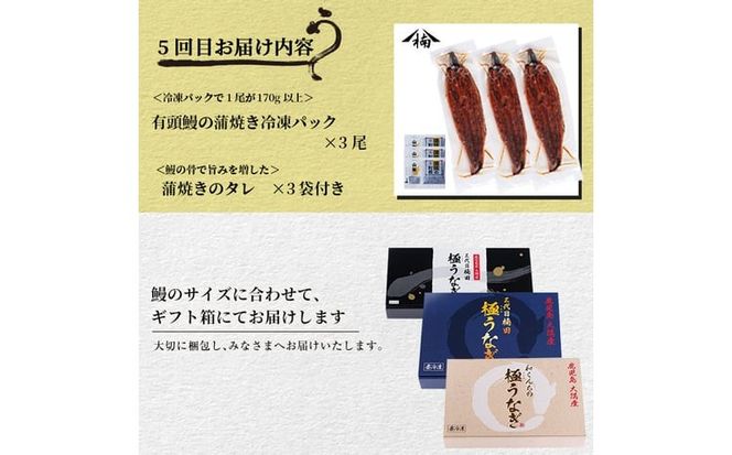 【定期便全5回】うなぎ2.1kg！5ヶ月間うなぎが楽しめる定期便！ t0098-002