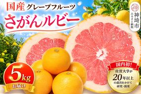 【2027年3月中旬より発送開始】さがんルビー 5kg(グレープフルーツ)【柑橘 フルーツ デザート ジューシー リフレッシュ】(H116149)