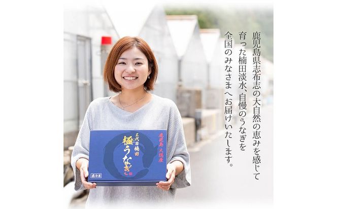 【定期便全3回】種類豊富なうなぎ定期便（計1.06kg以上）t0049-002