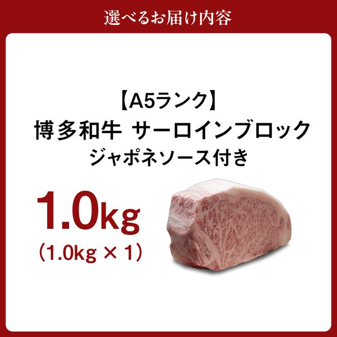 【A5ランク】博多和牛サーロインブロック1.0kg(ジャポネソース付)【伊豆丸商店】_HA0181