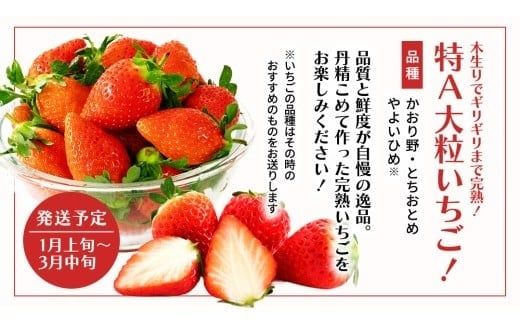 【 野菜ソムリエ 厳選 】 旬 の フルーツ 定期便 ( フルーツトマト スタート ) 4回 先行予約 果物 いちご イチゴ 苺 とちおとめ やよいひめ かおり野 すいか 小玉スイカ ピノガール トマト フルーツトマト メロン アールスメロン 新鮮 おすすめ ソムリエ 野菜 [AF095ci]