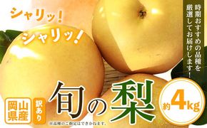 【先行予約】訳あり 旬の梨 約4kg 3-10玉前後 岡山県産 梨 訳あり 新高 愛宕 王秋梨 鴨梨 岡山 笠岡市《9月上旬-1月末頃に出荷予定》数量限定 梨 なし ナシ---kasaoka_zsy_50_40---