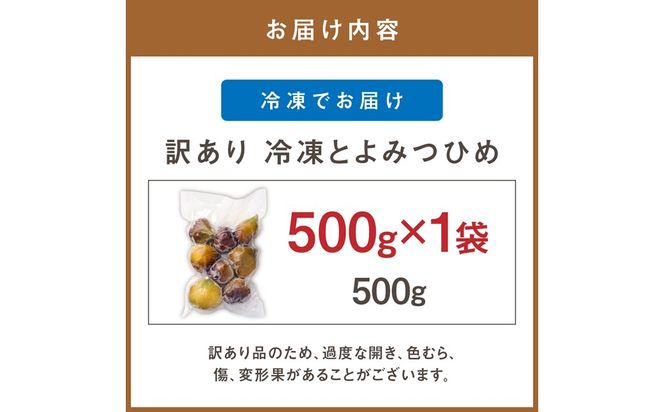 訳あり冷凍いちじく（とよみつひめ」）500ｇ【JAほたるの里】_HA1657