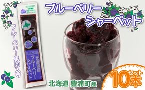 北海道 豊浦町 ブルーベリーシャーベット 10本 【 ふるさと納税 人気 おすすめ ランキング 果物 ブルーベリー 国産ブルーベリー ブルーベリーシャーベット 大容量 おいしい 美味しい 甘い 北海道 豊浦町 送料無料 】TYUN011