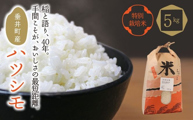 BI-11c 【特別栽培米】垂井町産ハツシモ5kg