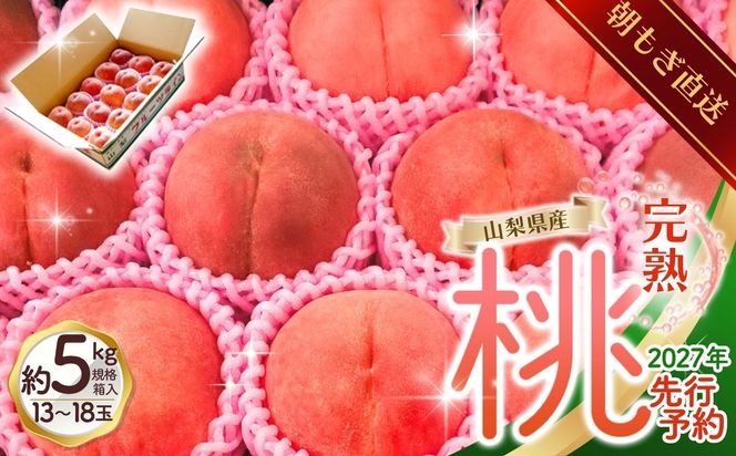 【2027年出荷分 先行予約】朝もぎ直送!『山梨県産　桃』約13～18玉 約5kg規格箱入り 選び抜かれた山梨の桃《もも 先行予約》山梨県産　モモ/ フルーツ 果物 くだもの 人気 産地直送/厳選  贈答 贈り物【tab0221-05】