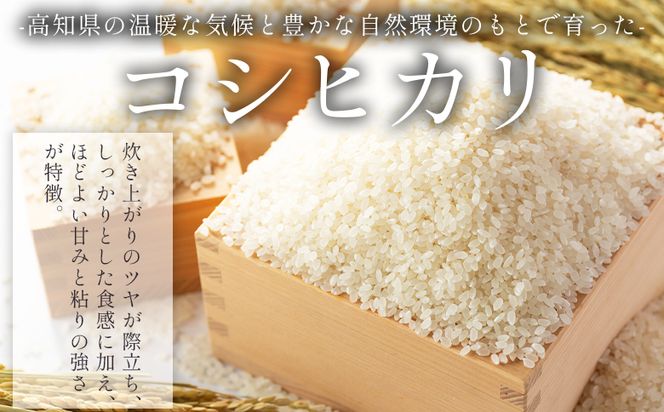無洗米 2kg 【6回定期便】令和8年産 高知県香南市産 特別栽培米 コシヒカリ 2kg - 国産 米 お米 こしひかり 白米 どうぞ ごはん おにぎり ご飯 防災 非常食 備蓄 kome 高知県 香南市 常温 Wnu-0014