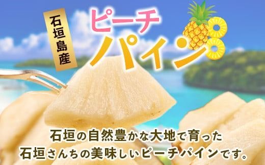 【先行予約】《2026年5月上旬頃より順次発送》石垣島産 ピーチパイン (3玉 約2.5㎏) 【 産地直送 沖縄 石垣 パイナップル フルーツ 】石垣さんちの石垣トロピカルファーム TP-10