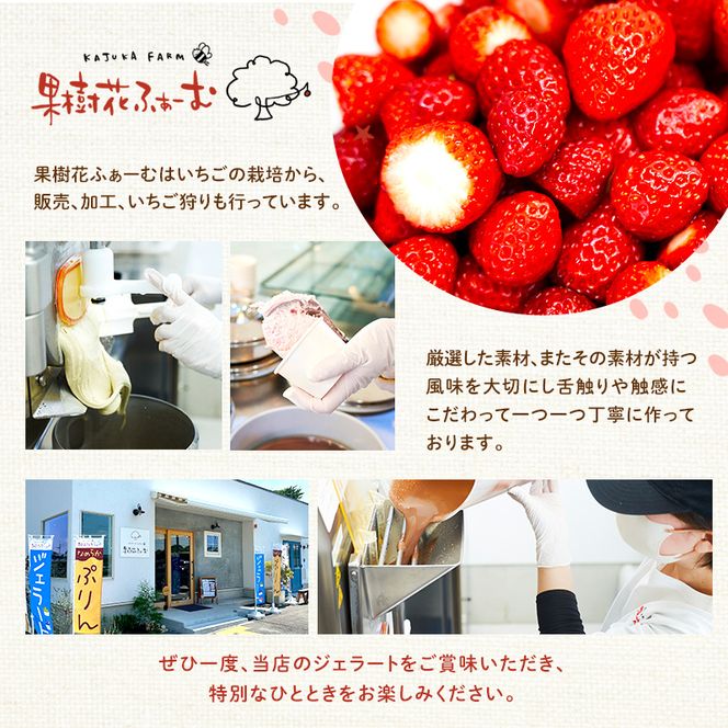 ジェラート マンゴー 12個 アイス アイスクリーム スイーツ お菓子 菓子 おやつ 兵庫県 加西市