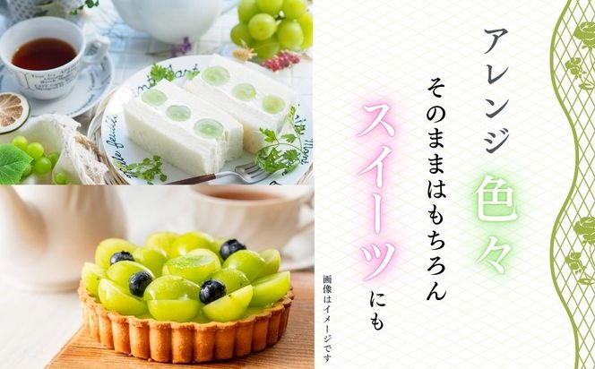 【先行予約】贈答用 シャインマスカット 2房（約1kg以上）(Bv-002)