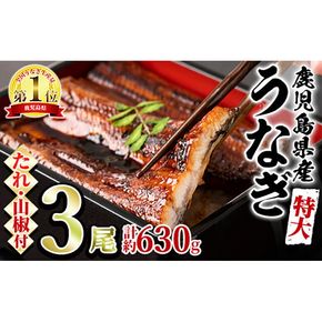 【0204356a】東串良町のうなぎ蒲焼(無頭)(3尾・計約630g・タレ、山椒付)うなぎ 高級 ウナギ 鰻 国産 蒲焼 蒲焼き たれ 鹿児島 ふるさと 人気【アクアおおすみ】