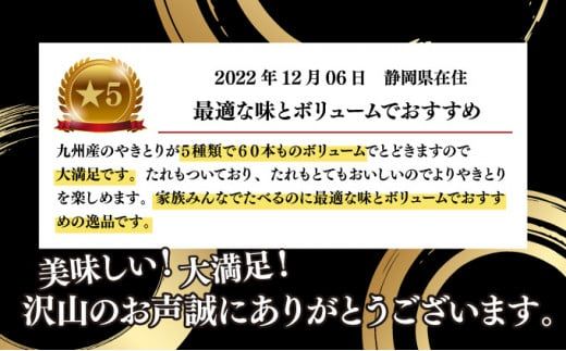 絶品！九州産焼鳥 5種盛合せ 60本（タレ付き）C-627