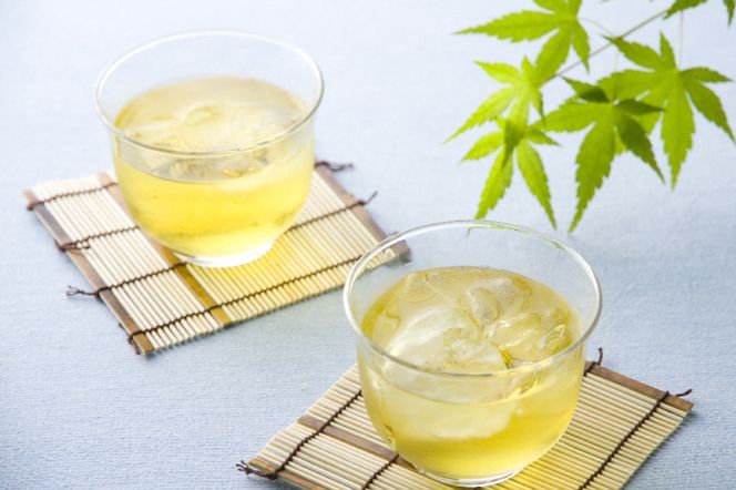 宇治・煎茶ティーバッグ 5g×20個×2袋〈お茶 茶 煎茶 緑茶 かぶせ茶 飲料 ティーバッグ 煎茶ティーバッグ ティーパック 宇治茶 日本茶 加工食品〉