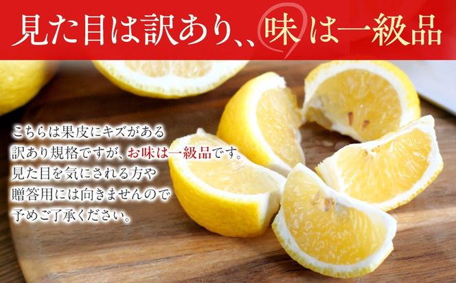 訳あり はるか 1kg M～2Lサイズおまかせ 高石垣ファーム   K017