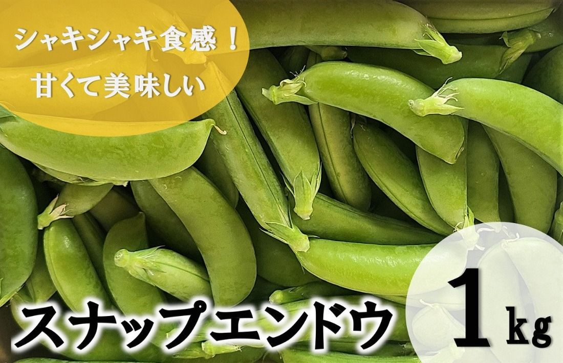 [期間限定発送] 野菜 スナップエンドウ 約1kg [盛光農園 宮崎県 日向市 452061219] スナックエンドウ 国産